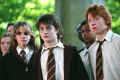 Кіностудія Warner Bros. зніме серіал за книгою Джоан Роулінг про Гаррі Поттера.