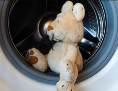 Не припускайтесь цієї частої помилки: 5 речей, які не можна класти в пральну машину