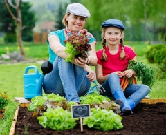 6 секретів, які допоможуть городникам зібрати в цьому році щедрий урожай