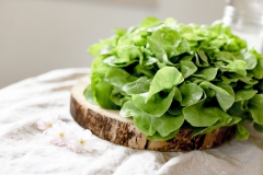 Як зберегти листовий салат хрустким протягом шести тижнів – спосіб, який реально працює