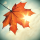VANILLA &ndash; Swept Away