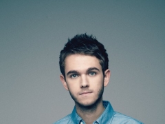 Zedd & Foxes