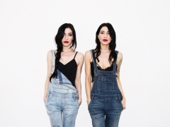 THE VERONICAS