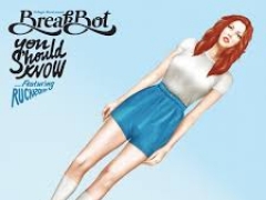 BREAKBOT