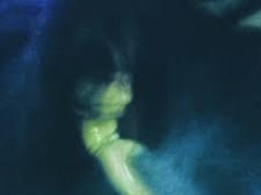 SO BELOW