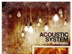ACOUSTIC SYSTEM