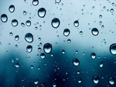 MIDDLE