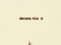 DAMIEN RICE
