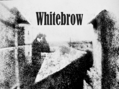 WHITEBROW