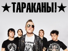 ТАРАКАНЫ