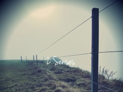 2 SENSES