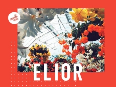 ELIOR