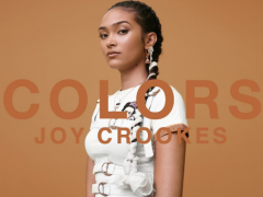 JOY CROOKES