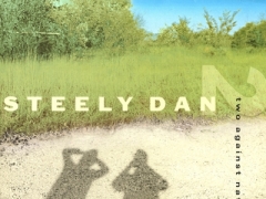 STEELY DAN