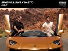 MIKE WILLIAMS & DASTIC