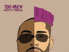 ZAYN