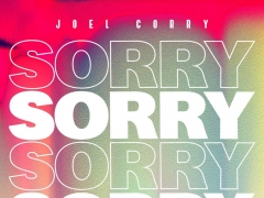 JOEL CORRY