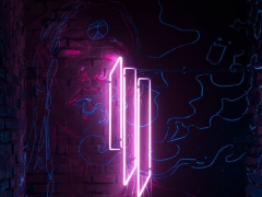 SKRILLEX & BOYS NOIZE & TY DOLLA SIGN
