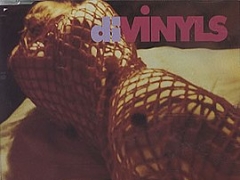 THE DIVINYLS