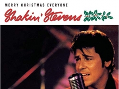 SHAKIN STEVENS