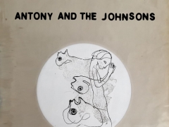 ANTHONY & THE JOHNSONS