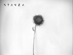 STANZA