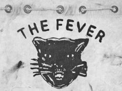 FEVER 333