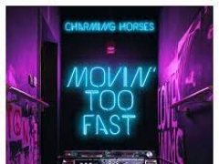 CHARMING HORSES