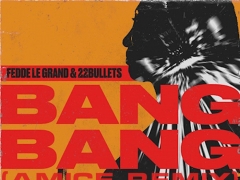 FEDDE LE GRAND & 22BULLETS