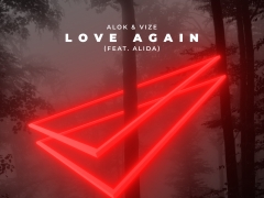 ALOK & VIZE FEAT. ALIDA