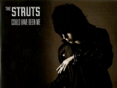 THE STRUTS