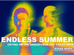 Sam Feldt & Jonas Blue & Endless Summer