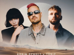Robin Schulz & Topic ft. Oaks