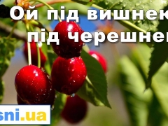 Дунай