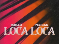 R3HAB & PELICAN