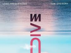 Dive Lost Frequencies & Tom Gregory