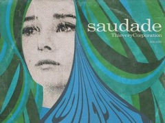 Thievery Corporation