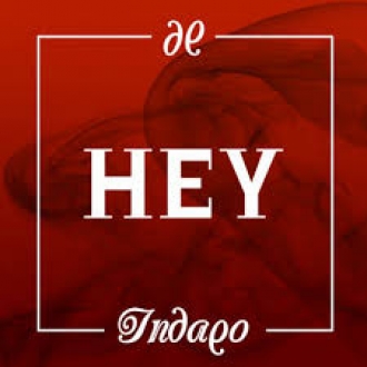 INDAGO
