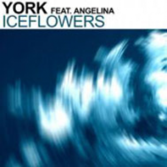 YORK & ANGELINA