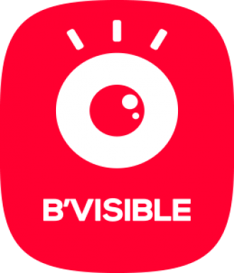 B.VISIBLE