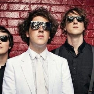 THE WOMBATS