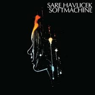 SARE HAVLICEK