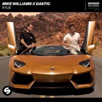 MIKE WILLIAMS & DASTIC