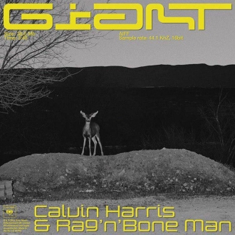 CALVIN HARRIS & RANGBONE MAN