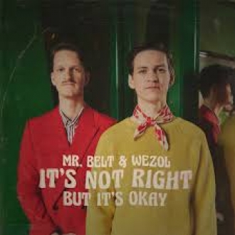 MR BELT & WEZOL