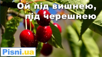 Дунай