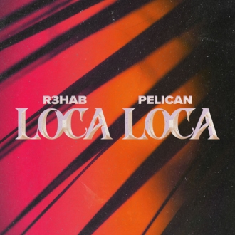 R3HAB & PELICAN