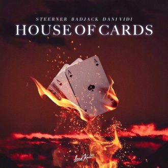 Steerner, Badjack & Dani Vidi