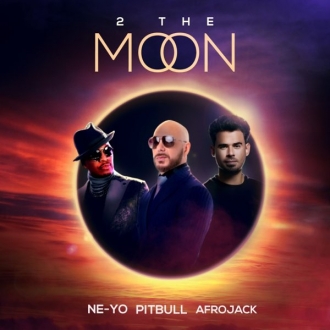 Pitbull x NE-YO x AFROJACK ft. DJ Buddha