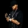 BUSTA RHYMES & MARIAH CAREY &ndash; I Know What You Want